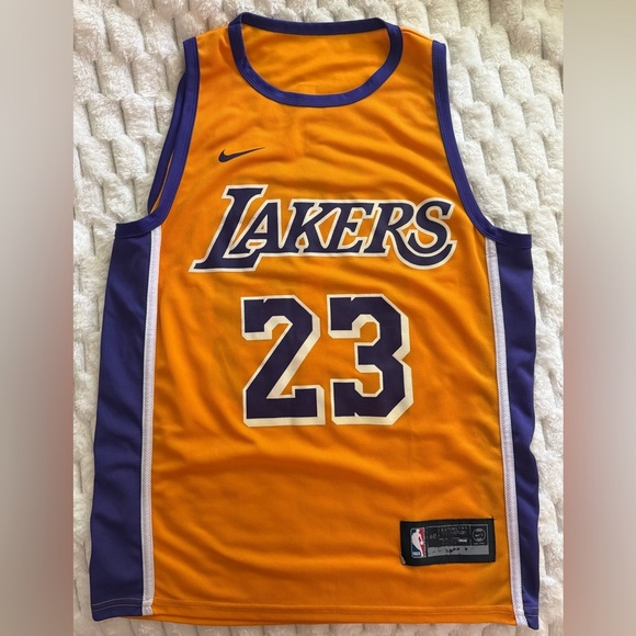 Rare LeBron James Lakers #23 Nike Icon Swingman – Purple Numbers w/ White Trim - Picture 1 of 5